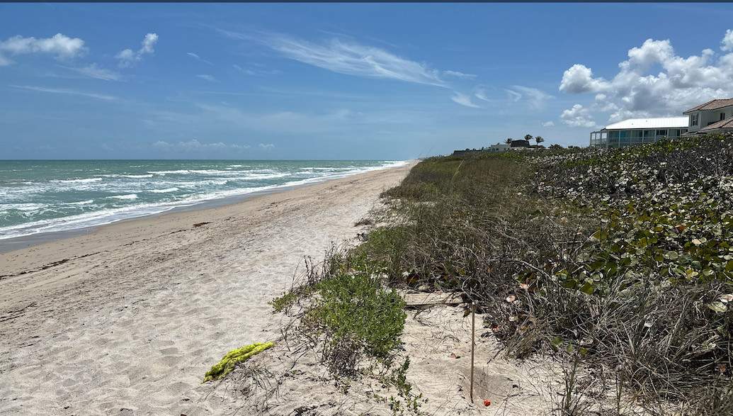 REAR CORNER FOR BOUNDARY SURVEY AT THE BEACH